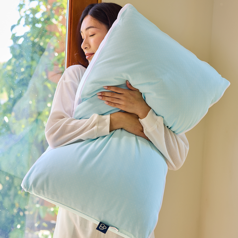 Pillows & Pillow Covers