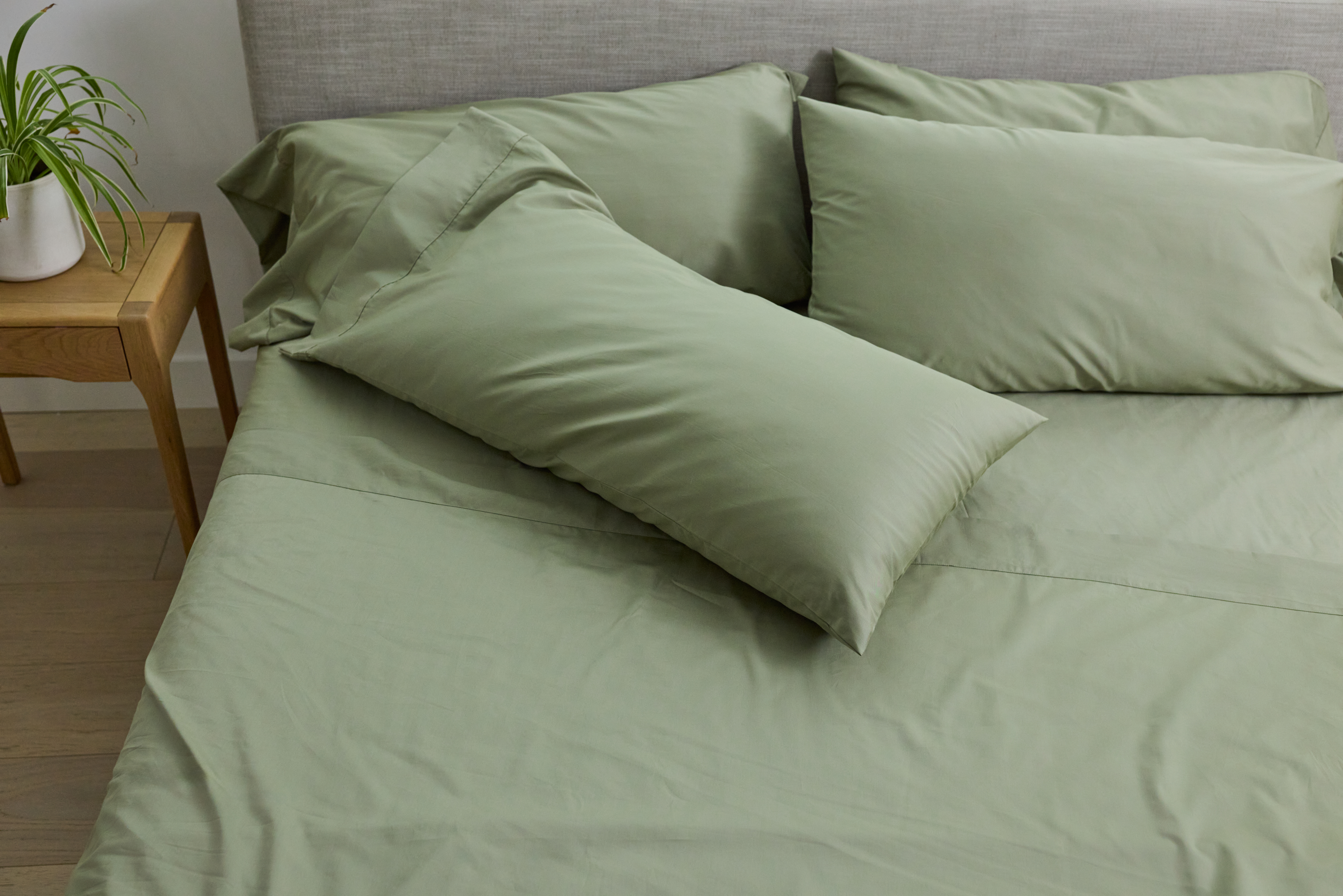 Performance Cotton Sheet Set