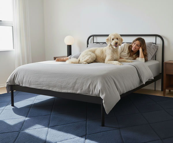 Align Easy-Clean Pet Duvet Cover