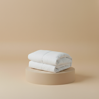 Down Alternative Duvet Insert