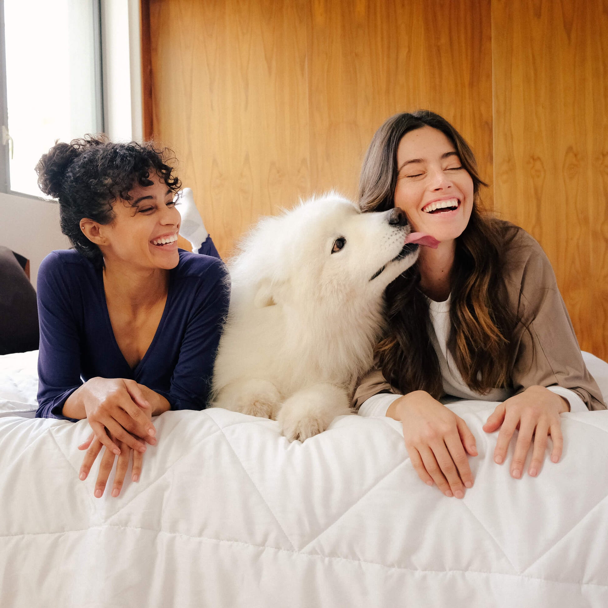 Two woman and a dog on a bed with the Slumber Cloud UltraCool Comforter takes the ClimaDry™ by Outlast and pairs it with an 89% cooling nylon and 11% spandex outer cover that mimics silk creating the silky smooth and soft to the touch hand feel.