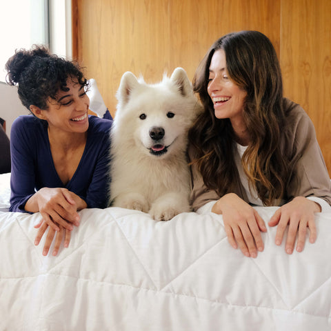Two woman and a dog on a bed with the Slumber Cloud Performance Comforter made with Outlast temperature regulation technology and Tencel to help you stay cool through the night. | Dual Technology