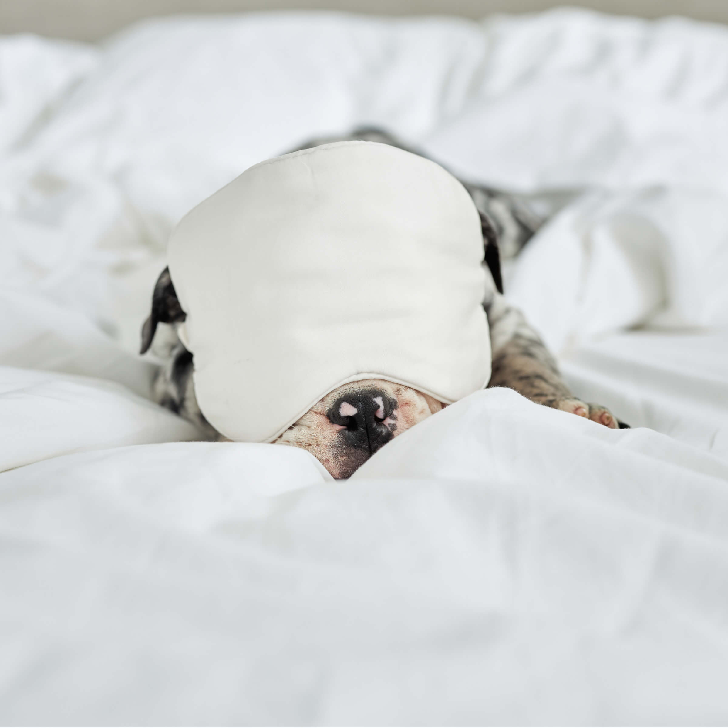 Slumber mask outlet